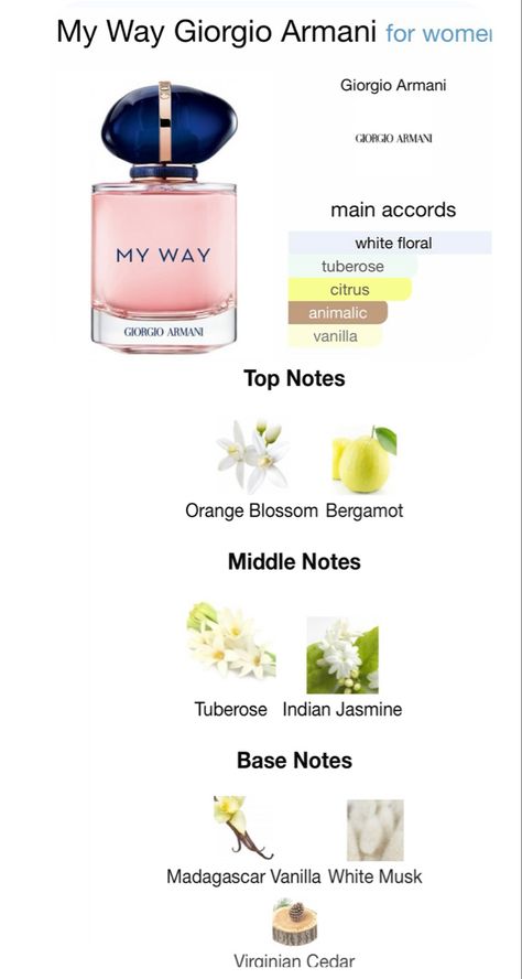 A Floral fragrance for women. Too notes are Orange Blossom & Bergamot; middle notes are Tuberose & Indian Jasmine; base notes are Madagascar Vanilla, White Musk & Virginian Cedar. Fragrance Family • Woody Floral Key Notes ﻿﻿Bergamot, Orange Blossom ﻿﻿Tuberose, Jasmine ﻿﻿Cedarwood, Vanilla, White Musks Vanilla Notes Perfume, My Way Perfume, My Way Giorgio Armani, Perfume Notes, Bergamot Perfume, Tuberose Perfume, Jasmine Perfume For Women, White Floral Perfumes, White Musk Perfume