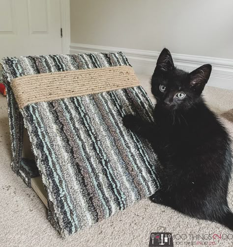 Diy Cat Scratching Post, Diy Cat Scratcher, Cat Scratch Post, Cat Paradise, Tree Rug, Diy Birdhouse, Homemade Cat Toys, Wood Trees, Diy Cat Toys