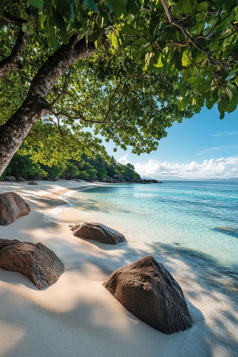 Unwind on the Secluded Beaches of Seychelles 🏝✨ Discover the untouched beauty of Seychelles' secluded beaches. Enjoy the pristine white sands, crystal-clear waters, and lush tropical surroundings for a peaceful and private escape. Perfect for a serene and romantic getaway. 🌿🌊 #SeychellesBeaches #TropicalParadise #SecludedEscape #TravelInspiration Seychelles Beach, Ac System, Secluded Beach, Romantic Getaway, Pretty Wallpapers Backgrounds, Crystal Clear Water, Romantic Getaways, Tropical Paradise, Seychelles