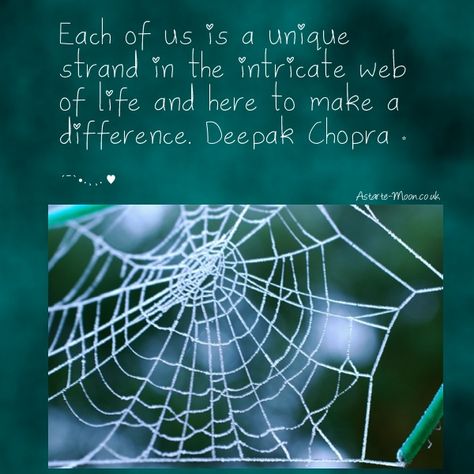 Man did not weave the web of life, he is merely a strand in it. Description from pandawhale.com. I searched for this on bing.com/images Spider Web Quotes, Spider Quotes, Quotes From Maya Angelou, Pagan Quotes, Journal Poetry, Wiccan Quotes, October Lessons, Web Quotes, Knowledge Of Self