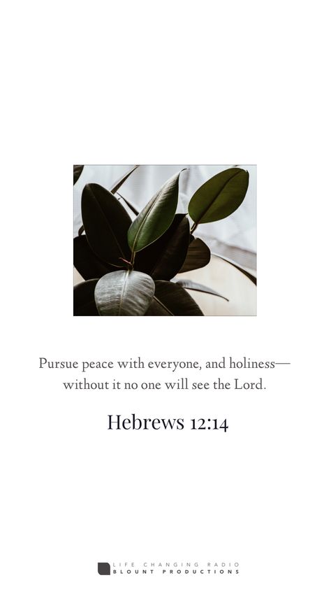 Pursue Peace, Hebrews 12, Verse Wallpaper, Gods Love Quotes, Beautiful Bible Verses, Ayat Alkitab, Verses Wallpaper, Love Truths, Daily Scripture