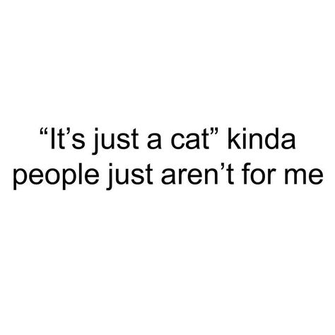 Cat Person Quotes, Cat Captions, Cat Lover Quote, Colorful Hairstyles, My Type, Cat Facts, Cat Quotes, Crazy Cat Lady, Quote Aesthetic