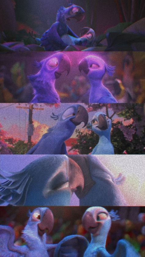 Rio Movie Aesthetic Wallpaper, Rio The Movie Aesthetic, Rio Birds Movie, Blue And Jewel Rio, Rio Wallpaper Iphone, Rio Movie Aesthetic, Rio Movie Wallpapers, Rio Wallpaper, Rio The Movie