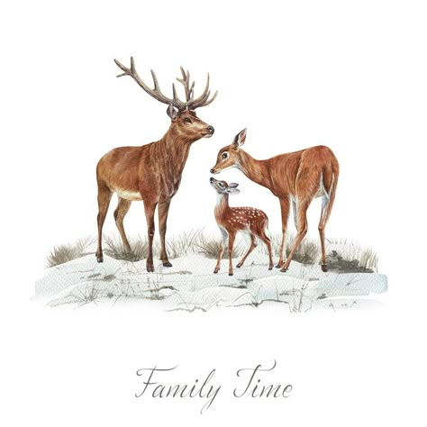 Woodland Illustration, Family Clipart, Baby Print Art, Copic Marker Art, Png Elements, Watercolor Winter, Deer Family, Family Painting, Wood Animal