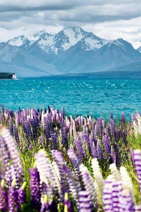 Lake Tekapo New Zealand, Tekapo New Zealand, New Zealand Landscape, New Zealand South Island, Moon Photography, Fantasy Places, Nature Garden, Beautiful Lakes, Beautiful Mountains