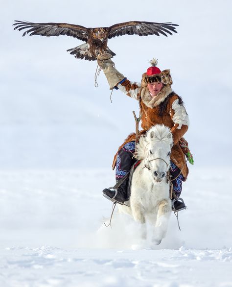 Mongolian Hunters and Their Golden Eagles: Magnificent Photos of This Living Heritage Mongolian Eagle Hunter, Mongolian Eagle, Archery Photography, Mongolian Horse, Inktober Inspiration, Eagle Hunter, Eagle Hunting, Inktober 2024, Portrait References