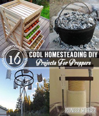 Homesteading Diy Projects, Home Steading, Off Grid Homestead, Survival Prep, Self Sustaining, Diy Tumblr, Homesteading Diy, Homestead Life, Homesteading Ideas