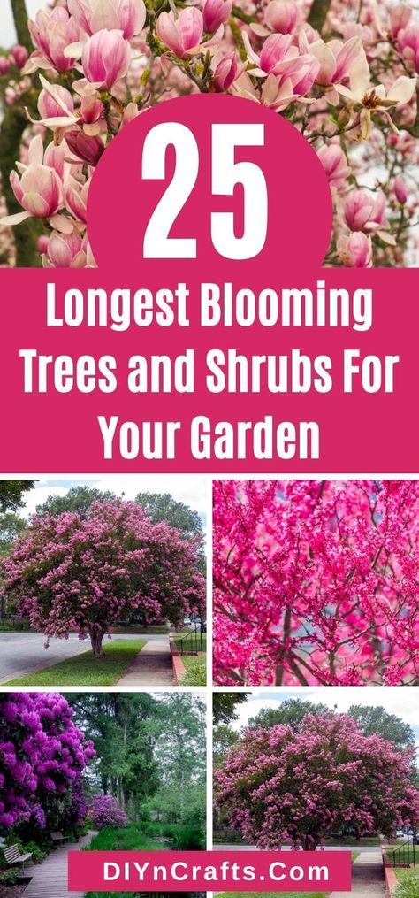 Make your garden more colorful by picking some vibrant flowering trees and shrubs, with short descriptions and photos on each listed tree. Check it out now! Garden Island Ideas, Decor Hacks Diy, Flowering Crabapple, Short Trees, Fringe Tree, Pink Flowering Trees, Trees For Front Yard, Garden Island, Creative Garden Decor