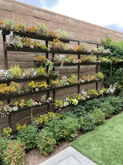 Diy Wall Planter Indoor, Raised Garden Bed From Pallets, Garden Bed From Pallets, Indoor Wall Planter, Succulent Garden Diy Indoor, Wall Gardening, Succulents Arrangements, Fruits Garden, Succulent Wall Garden