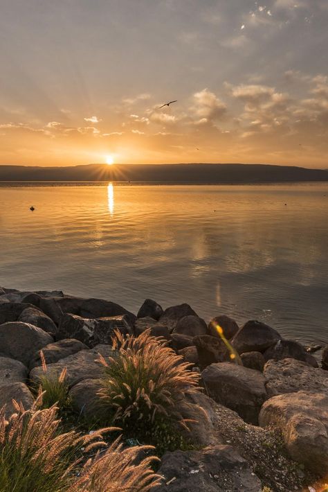 Sea Of Galilee Photography, Colorful Sunsets, The Sea Of Galilee, Sea Of Galilee, At The Sea, Aesthetic Photos, National Geographic Photos, Holy Land, Best Photography