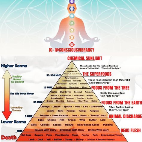 13 Likes, 2 Comments - Len Gilmer (@dark_djedi) on Instagram: “#chakrabalancing #chakras #spirituality #energyiseverything #lawsofattraction #lawsoftheuniverse…” High Vibrational Foods, High Energy Foods, Food Pyramid, Energy Foods, Life Force Energy, Raise Your Vibration, High Vibrational, Cosmic Energy, High Vibes