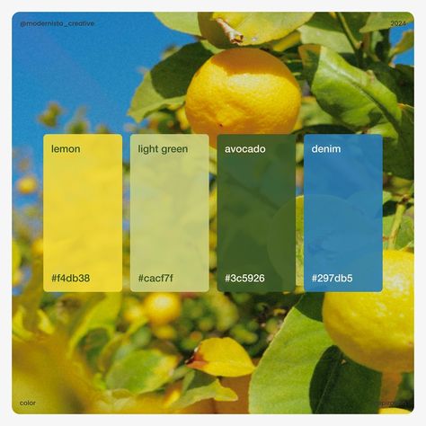 Lemon Yellow Palette, Lemon Branding Design, Yellow Color Palette Combination, Lemon Palette, Lemon Color Palette, Lemon Branding, Yellow Colour Palette, Bouquet Of Daisies, Summer Color Palettes