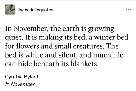 November Quotes Aesthetic, Quotes About November, November Poems, November Poetry, November Poem, Gray November, Classic Literature Quotes, Cynthia Rylant, Seasonal Quotes