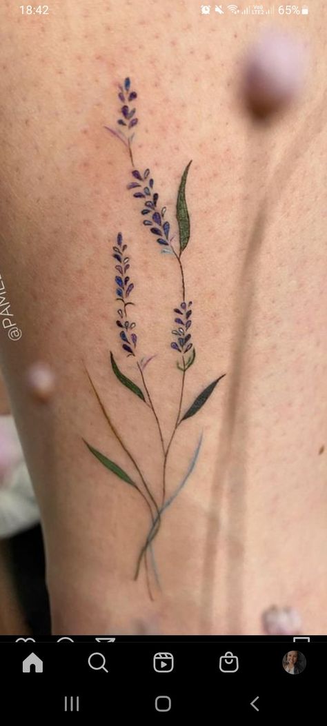 Heather Tattoo Flower, Heather Flower Tattoo, Heather Tattoo, Heather Flower, Dandelion Tattoo, Back Tattoo, Flower Tattoos, Art Drawings Sketches, Tattoo Inspo