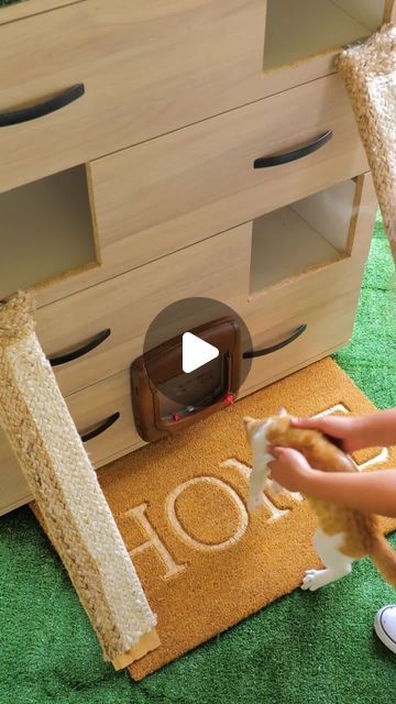 5-Minute Crafts Decor on Instagram: "The old dresser is transformed into a kitty house 😻

#petparenting #oldtonew #recycle #oldfurniturerestoration #idea #diy #cat #catlovers #5minutecrafts #decor" Diy Kitten Litter Box Ideas, Repurposed Cat Furniture, Hidden Cat Room, Armoire Cat Condo, Diy Cat Feeding Station Dog Proof, Diy Cat Stuff Furniture, Cat Room Ideas Diy, Cat Enrichment Ideas, Catification Ideas Diy