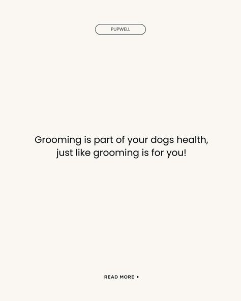 Your dog’s maintenance is just as important as yours!! Dog Grooming Instagram, Dog Grooming, Dogs, On Instagram, Instagram