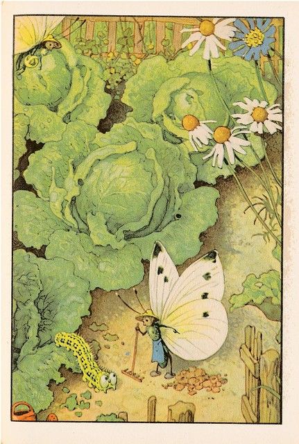 Flickriver: Searching for photos matching 'Fritz Baumgarten' Ilustrasi Dan Poster, Fritz Baumgarten, Cabbages, Childrens Books Illustrations, Flower Fairies, Fairy Art, Woodland Creatures, Illustrations And Posters, Childrens Illustrations