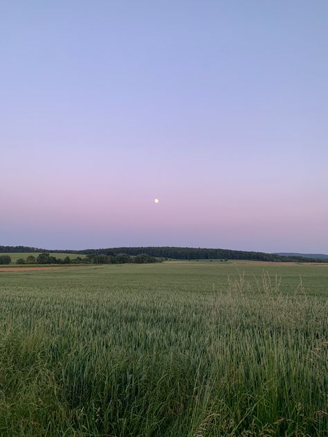 outdoor, aesthetic, sunset, moon, field, purple, love, creation Rice Field Aesthetic, Water Rabbit, Field Aesthetic, Outdoors Aesthetic, Rice Field, Outdoor Aesthetic, Purple Sunset, Aesthetic Purple, Lavender Field