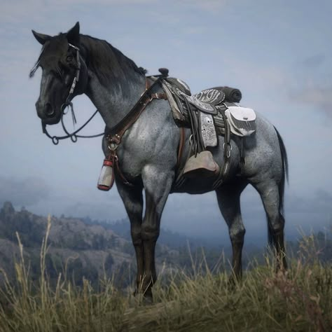 Red Dead Online Rdr2 Missouri Fox Trotter, Rdr Horses, Rdr2 Horses, Rdr2 Outfits, Gray Horses, Horse Land, Rdr2 Online, Horse Art Ideas, 2 Horses