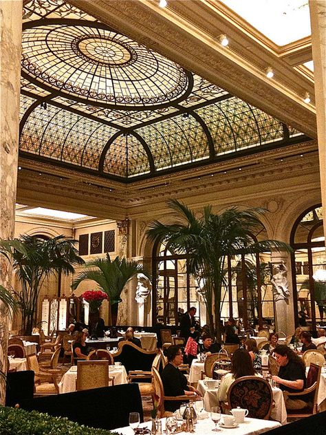 photo Palm Court Plaza Afternoon Tea, Palm Court Plaza, Restaurant Lighting Design, The Plaza Hotel Nyc, Palm Court, Luxxu Modern Design Living, Hotels Luxury, Nyc Travel, Party Hall