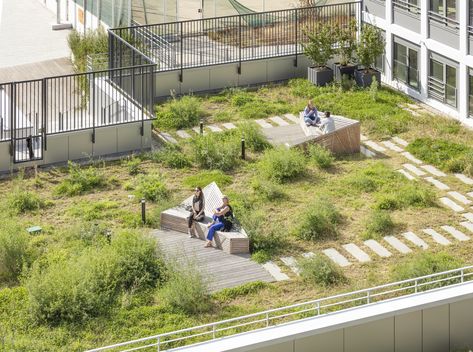 Roof Garden Architecture, Rooftop Garden Urban, Roof Landscape, Green Roof Garden, Green Roof Building, Roof Terrace Design, Roof Terraces, Terraced Landscaping, Roof Garden Design