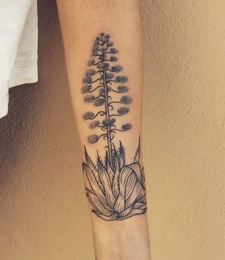 Agave Tattoo Meaning & Cool Designs - TattoosWin Agave Plant Tattoo, Erica Flower, Agave Tattoo, Mum Tattoo, Mom Daughter Tattoos, Tattoo 2023, Magnolia Tattoo, Cool Half Sleeve Tattoos, Century Plant