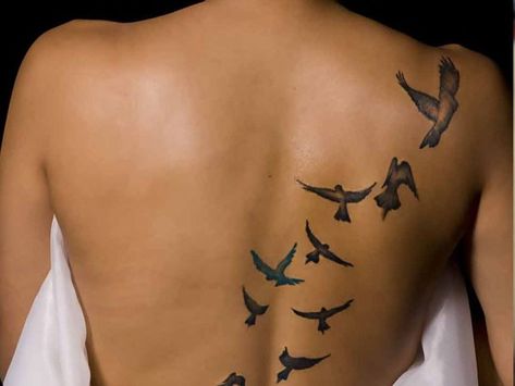 Flock of birds tattoo on the back Freedom Symbol Tattoo, Free Bird Tattoo, Divorce Tattoo, Birdcage Tattoo, Freedom Tattoos, Cage Tattoos, Tattoo Bird, Spirit Tattoo, Different Tattoos