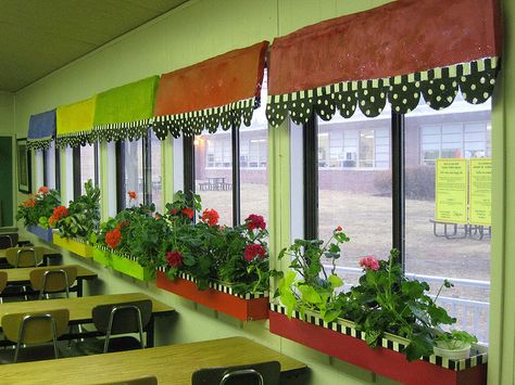 Window boxes for art room windows Afrikaans Plakkate, Classroom Window Decorations, Classroom Curtains, Classroom Window, School Decoration, Classroom Decor High School, School Doors, Language Arts Classroom, Window Screen