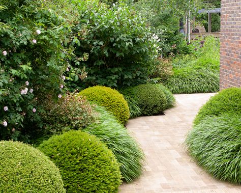 Landscaping with evergreens: 9 ways to use in garden design | Landscaping With Evergreens, Parterre Garden, Landscape Garden Design, Garden Hedges, Evergreen Garden, The New Forest, Evergreen Plants, Landscape Garden, Contemporary Garden