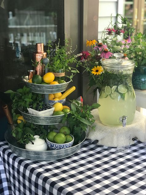 Diy Party Drink Station, Backyard Party Drink Station, Party Bar Ideas Alcohol Set Up Outdoor, Hosting Drink Station, Summer Party Bar Set Up, Diy Bar Station Party Ideas, Outdoor Beverage Station Parties, Diy Outdoor Drink Station, Gin Tonic Station