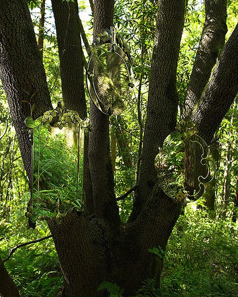 Hang mirrors in a tree - Interesting idea, but could be a mess - hummm have to think about it. Mirrors Hanging From Trees, Mirror Mobile, Tree Charms Backyards, Tree Mirror, Mirror Tree, Mirror In Forest, Mirror Garden, Enchanting Forest, Forest Mirror