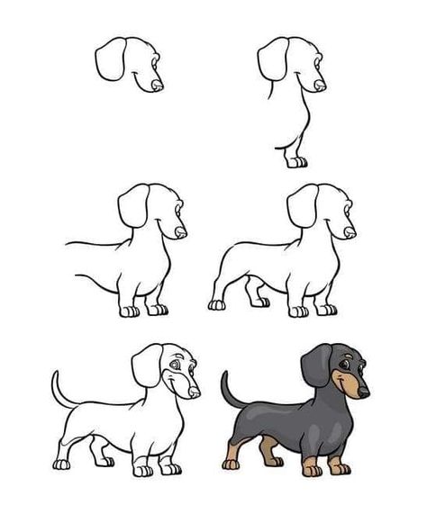 Dachshund Drawing, Dachshund Cartoon, Dachshund Illustration, Pencil Drawing Tutorials, Dachshund Art, Drawing Tutorial Easy, Art Drawings Sketches Creative, Wiener Dog, Art Drawings For Kids