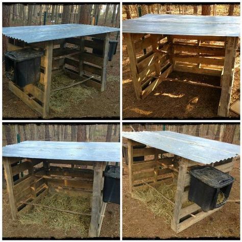 29 Pallet Chicken Coop Ideas (Weekend-Friendly) Diy Pallet Chicken Coop, Pallet Chicken Coop, Chicken Shelter, Pollo Tropical, Chicken Coop Plans Free, Cheap Chicken Coops, Chicken Coop Pallets, Easy Chicken Coop, Chicken Barn