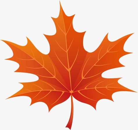 Maple Leaf Clipart, Maple Leaf Tattoos, Fall Leaves Png, Fall Clip Art, Leaf Clipart, Leaf Images, Leaf Drawing, Orange Leaf, Autumn Leaf