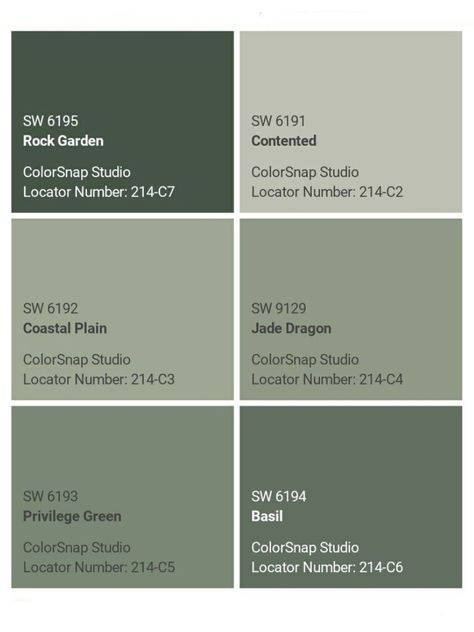 Green Pallet, Pantone Green, My Password, Jade Dragon, Basement Walls, Wall Ideas, My Account, Basement, Paint Colors