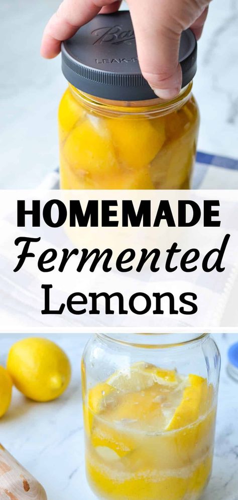 This easy recipe for fermented lemons is easy and perfect for beginners. All you need is 2 simple ingredients and you’re ready to make this traditional Moroccan recipe for preserved lemons. The perfect way to preserve lemons for the off season, and a great way to incorporate more fermented foods into your diet and pantry. If you have lemons and salt, you’re ready to get started with this easy fermented fruit that will store for up to 6 months! Honey Fermented Lemons, Lemon Preserves How To Make, Preserve Lemons Recipes, Homemade Fermented Foods, Fermented Oranges, Myer Lemon Recipes, Fermented Juice, How To Preserve Lemons, Fermented Lemons