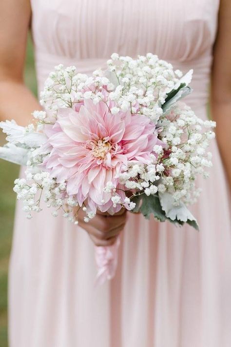 star gazer lilly with babies breath bridal bouquets | Baby's breath and blush dahlia bridesmaid bouquet, by Beautiful Blooms ... Pink And White Bouquet, Dahlia Wedding Bouquets, Dahlias Wedding, Babies Breath, Spring Wedding Flowers, White Bouquet, Baby's Breath, Bride Bouquets, Blush Wedding