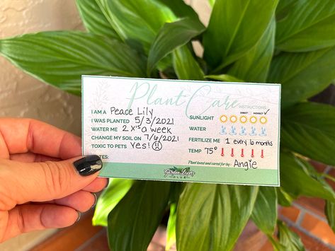 Printable Plant Care Tags (FREE!) - Garden Lovers Club Plant Care Tags, Plant Care Cards, Florida Plants Landscaping, Peace Plant, Lily Care, Florida Plants, Sun Loving Plants, Plant Tags, Plant Information