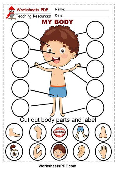 Cut Out Body Parts 1 Healthy Body Theme Preschool Ideas, Preschool Body Theme, Body Parts Preschool Activities, Body Parts For Kids, Human Body Worksheets, Body Preschool, Body Parts Preschool, Cut And Paste Worksheets, Kids Worksheets Preschool