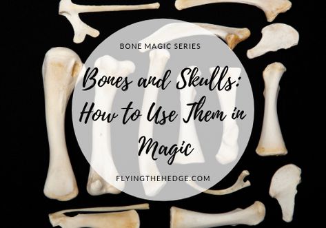 Bone Magic Series: Bones and Skulls: How to Use Them in Magic Bone Magic, Bone Throwing, Ox Tongue, Spirit Communication, Traditional Witchcraft, Folk Magic, Hedge Witch, Witch Spell, Modern Witch