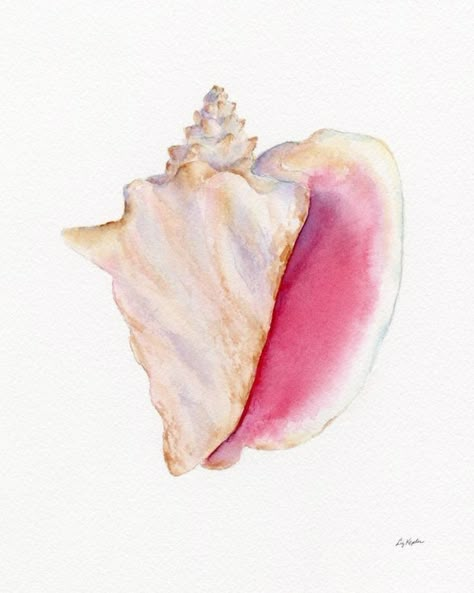 Sea Shell Painting, Summer Widgets, Beach Wall Collage, Shell Painting, Cute Summer Wallpapers, Seashell Painting, Summer Wallpapers, Shell Print, Painted Shells