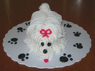 dog cupcakes | puppy cupcake cake Maltese Cupcakes, Cupcake Critters, Doggy Cake, Puppy Cupcakes, Lion Cake, Puppy Pawty, Lamb Cake, Dog Cupcakes, Decorating Cupcakes