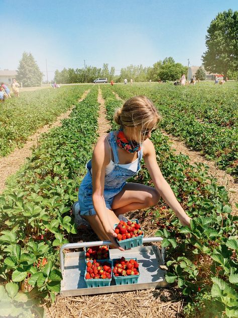 Strawberry Farm Photo Shoot, Strawberry Picking Photoshoot, Berry Picking Photoshoot, Strawberry Patch Photoshoot, Strawberry Field Photoshoot, Strawberry Farm Outfit, Strawberry Farm Aesthetic, Fruit Picking Aesthetic, Fruit Picking Outfit