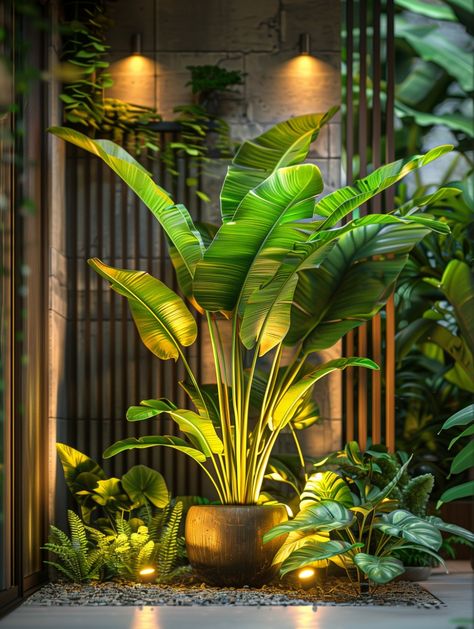 Dive into the tranquility of urban gardens with this enchanting image. In the corner of an outdoor garden at night, a large house plant stands tall, its broad leaves adorned with white stripes, evoking memories of tropical rainforests. Illuminated by delicate lights on each side, the plant exudes an ethereal glow, while surrounding greenery and various flowers add to the scene's natural beauty. A brown pot with yellowish foliage adds a charming touch, creating a picturesque urban oasis. Let this scene remind you of the beauty of nature, even within bustling city settings. 🌿🌙 #UrbanGardens #TropicalVibes #NighttimeOasis #NatureInTheCity #PinterestGardening Inside Garden Ideas Interiors, In Aesthetic, Urban Oasis, Tropical Rainforest, Tropical Vibes, Large Homes, Plant Stand, Urban Garden, Outdoor Garden