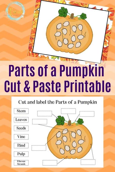 Printable List of 20 Activities for 1 Year Olds You Can Do Every Day! Pumpkin Parts, Pumpkin Crafts For Kids, Gratitude Crafts, Pumpkin Story, Pumpkin Science, Parts Of A Pumpkin, Worksheet Kindergarten, Pumpkin Books, Spelling And Handwriting