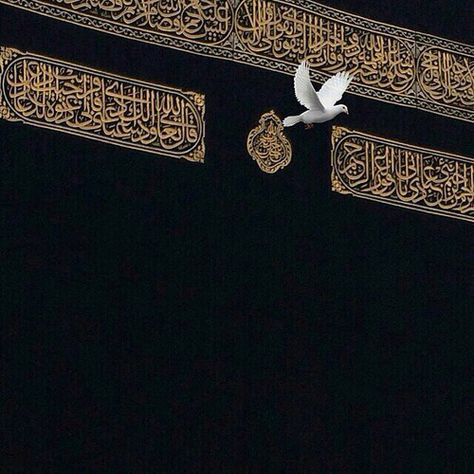 Dove near the Kaaba ❤️ Salat Prayer, Khana Kaba, Mekka Islam, Mecca Kaaba, Masha Allah, Mosque Art, Masjid Al Haram, Mosque Architecture, Mecca Wallpaper