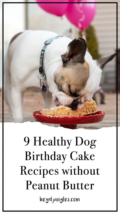 9 Dog Birthday Cake Recipes Without Peanut Butter - Hey, Djangles. Dog Cake Without Peanut Butter, No Peanut Butter Dog Cake, Mini Dog Birthday Cake, Dog Birthday Cake Recipe Easy Peanut Butter, Dog Birthday Cake No Peanut Butter, Dog Cake No Peanut Butter, Dog Cake Recipe No Peanut Butter, Dog Safe Cake Recipe Easy, Dog Birthday Cake Apple