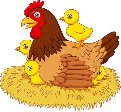 Cartoon hen with her baby chicks Cartoon Hen, Cute Cartoon Images, Hens And Chicks, The Cartoon, House Drawing, Baby Chicks, Cartoon Clip Art, Hen, Cute Cartoon