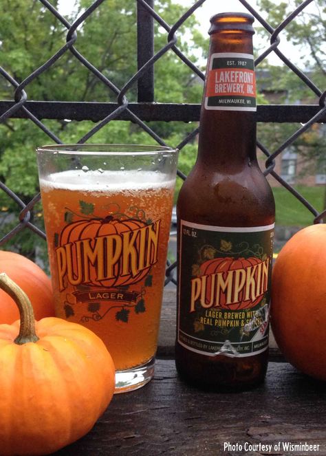 It's time to enjoy some delicious seasonal fall beers from Wisconsin craft breweries--Here are 5 of our favorite fall beers and ciders! Wheat Beer Recipe, Apple Beer, Autumn Board, Fall Beers, Brewery Design, Pumpkin Ale, Pumpkin Dishes, Crafting Recipes, Pumpkin Photos