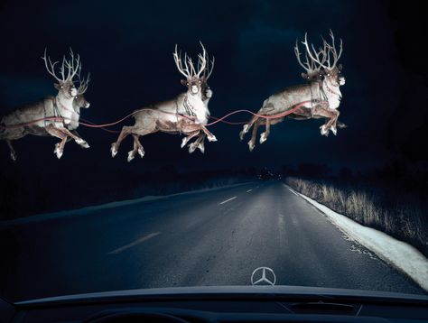 Advertisement by BBDO, Canada Meanwhile In Finland, Flying Reindeer, Big Rigs, Kwanzaa, Santa And Reindeer, Big Trucks, Christmas Joy, Christmas Cheer, Christmas Magic